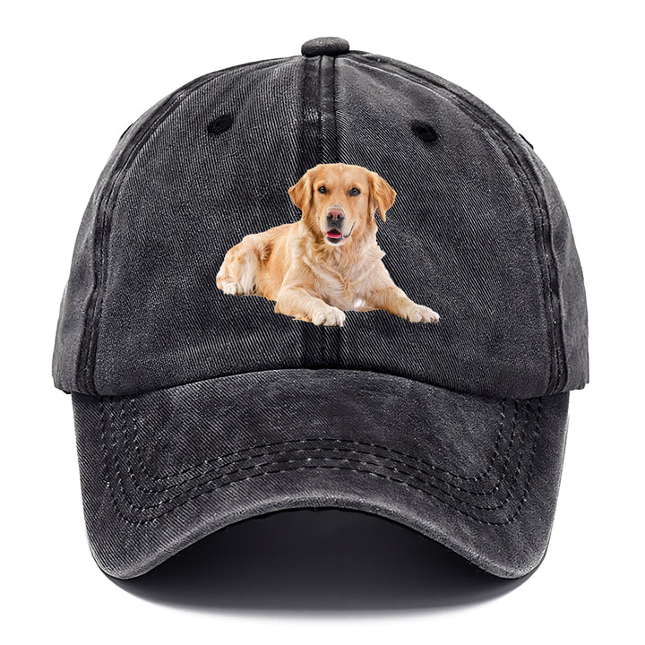 Golden Retriever Laying Down Classic Cap | Graphite | Toronty Ottawa