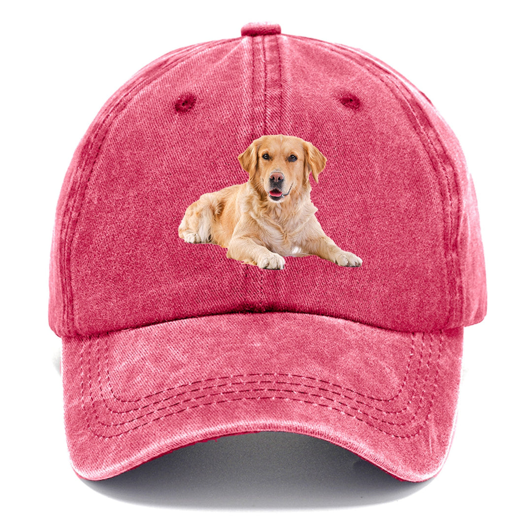 Golden Retriever Laying Down Classic Cap | Pomegranate Blush(Pink) | Toronty Ottawa