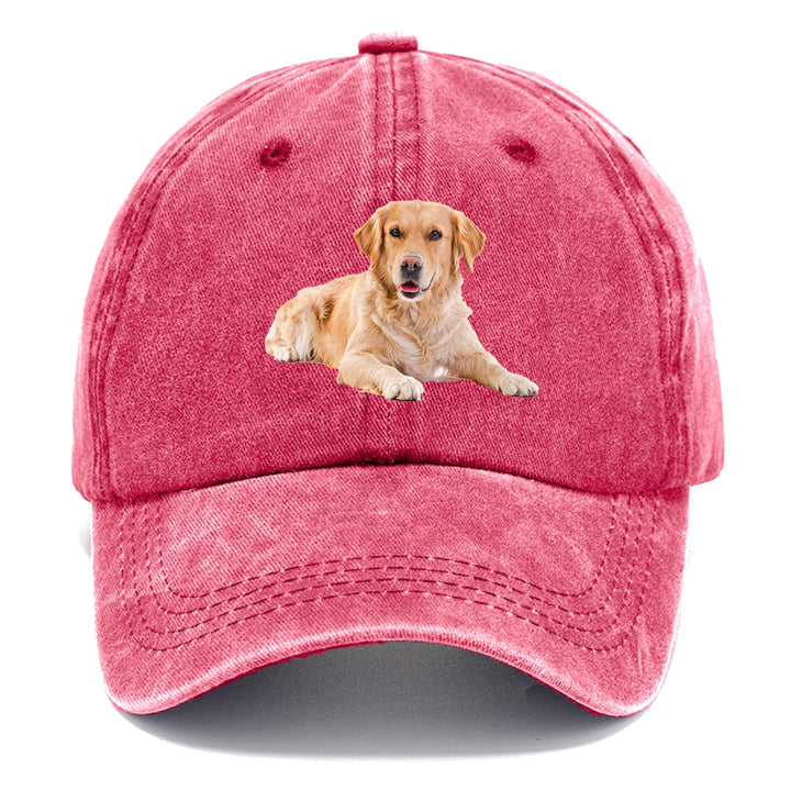 Golden Retriever Laying Down Classic Cap | Pomegranate Blush(Pink) | Toronty Ottawa