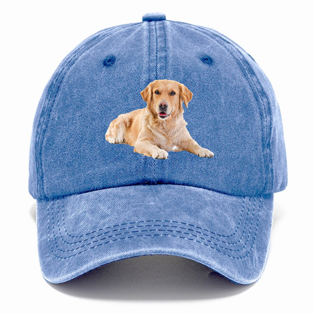 Golden Retriever Laying Down Classic Cap | Summer Sky(Blue) | Toronty Ottawa