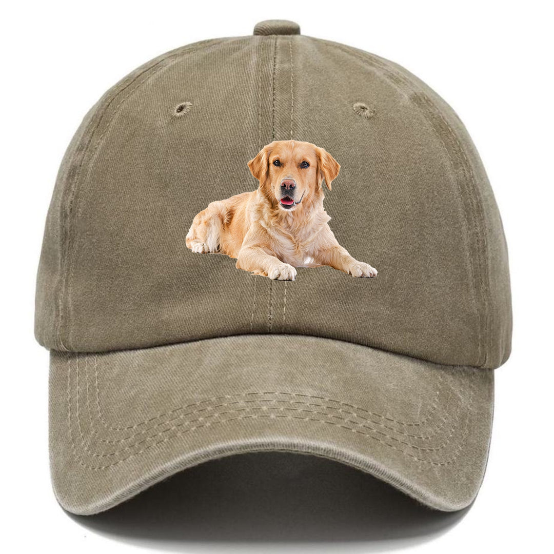Golden Retriever Laying Down Classic Cap | Warm Sand(Khaki) | Toronty Ottawa