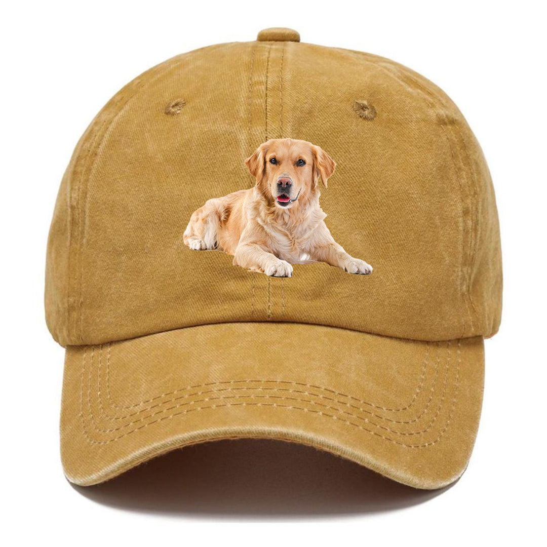 Golden Retriever Laying Down Classic Cap | Golden Harvest(Yellow) | Toronty Ottawa