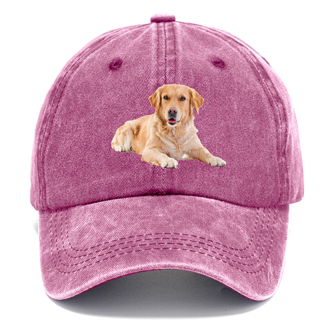 Golden Retriever Laying Down Classic Cap | Dusty Rose(Rose) | Toronty Ottawa