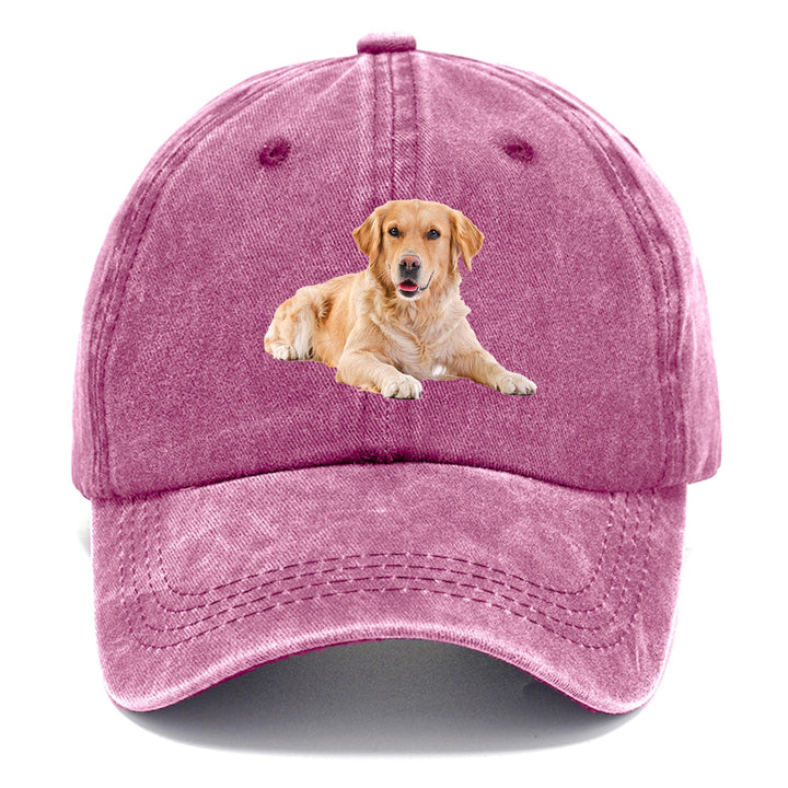 Golden Retriever Laying Down Classic Cap | Dusty Rose(Rose) | Toronty Ottawa