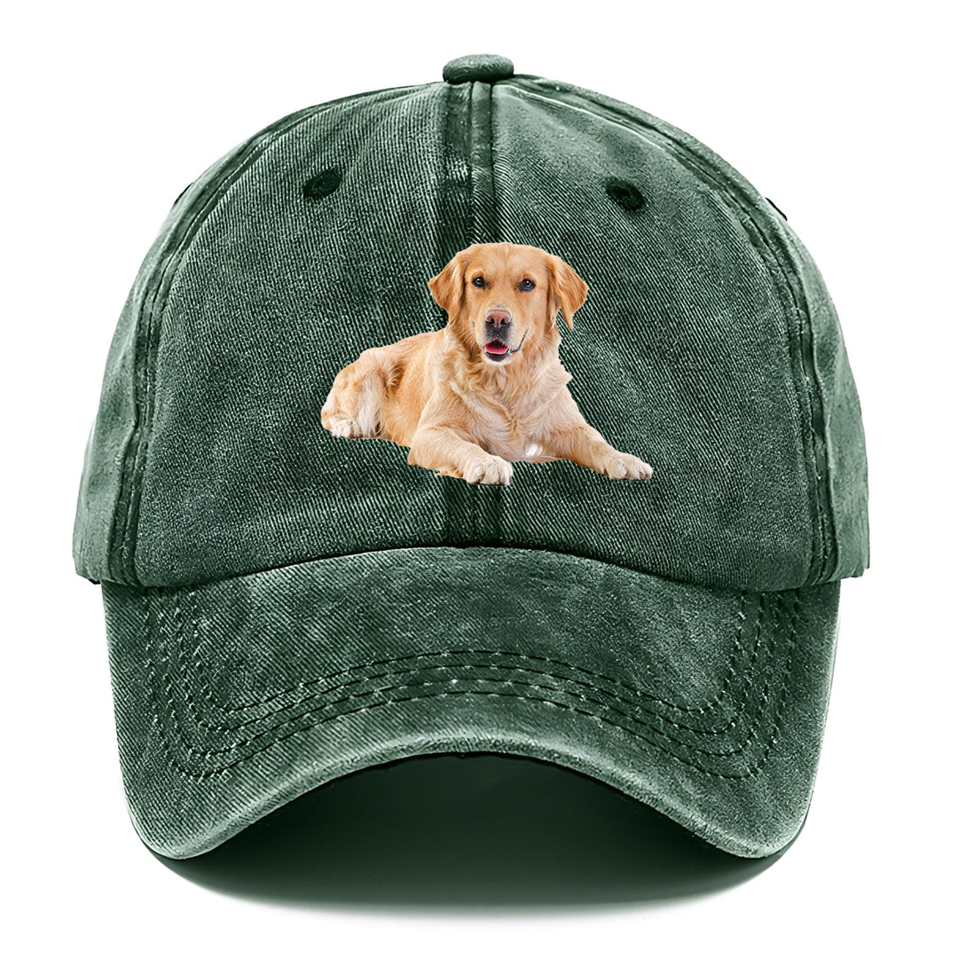 Golden Retriever Laying Down Classic Cap | Forest Mist(Green) | Toronty Ottawa