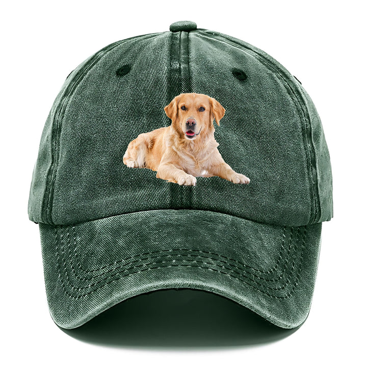 Golden Retriever Laying Down Classic Cap | Forest Mist(Green) | Toronty Ottawa
