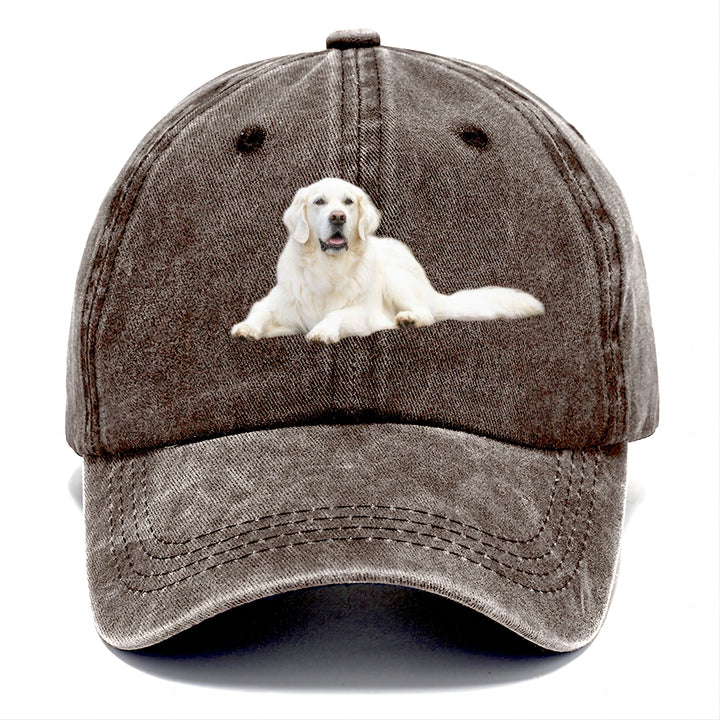 White English Cream Golden Retrievers Classic Cap | Brown | Toronty Ottawa