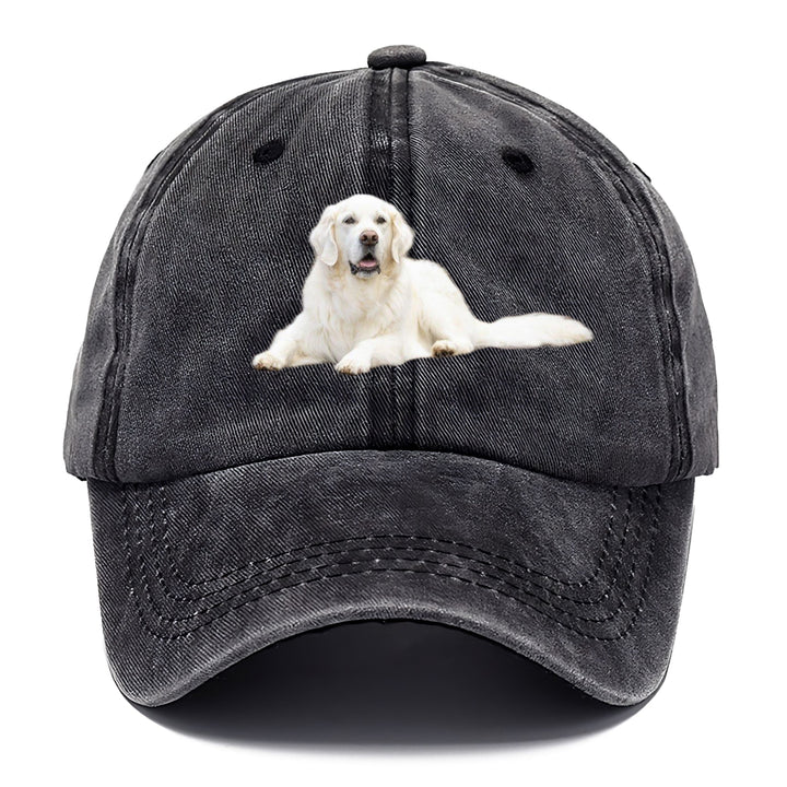 White English Cream Golden Retrievers Classic Cap | Graphite | Toronty Ottawa
