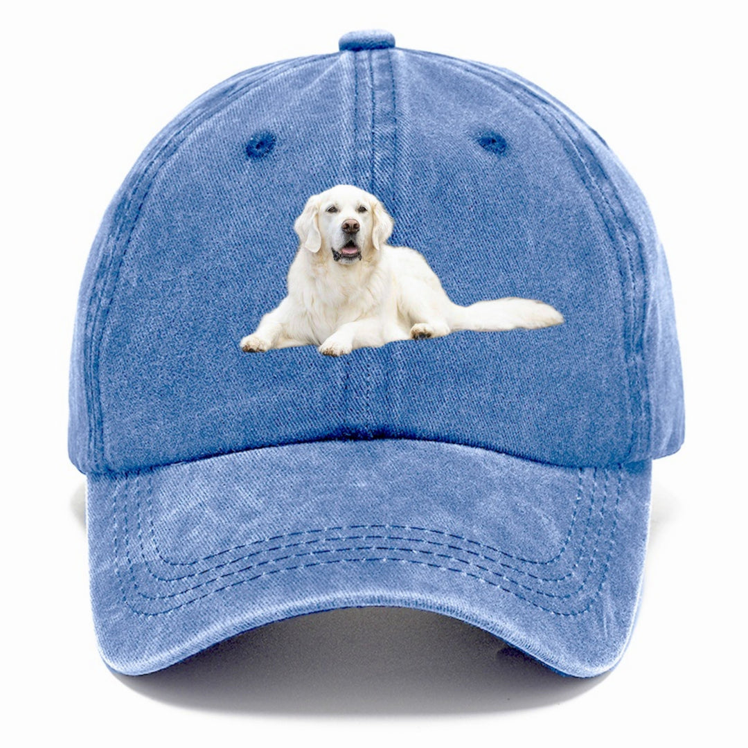 White English Cream Golden Retrievers Classic Cap | Summer Sky(Blue) | Toronty Ottawa