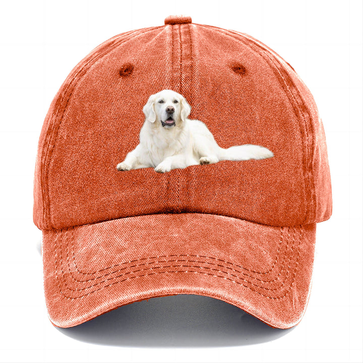 White English Cream Golden Retrievers Classic Cap | Terracotta Clay(Orange) | Toronty Ottawa
