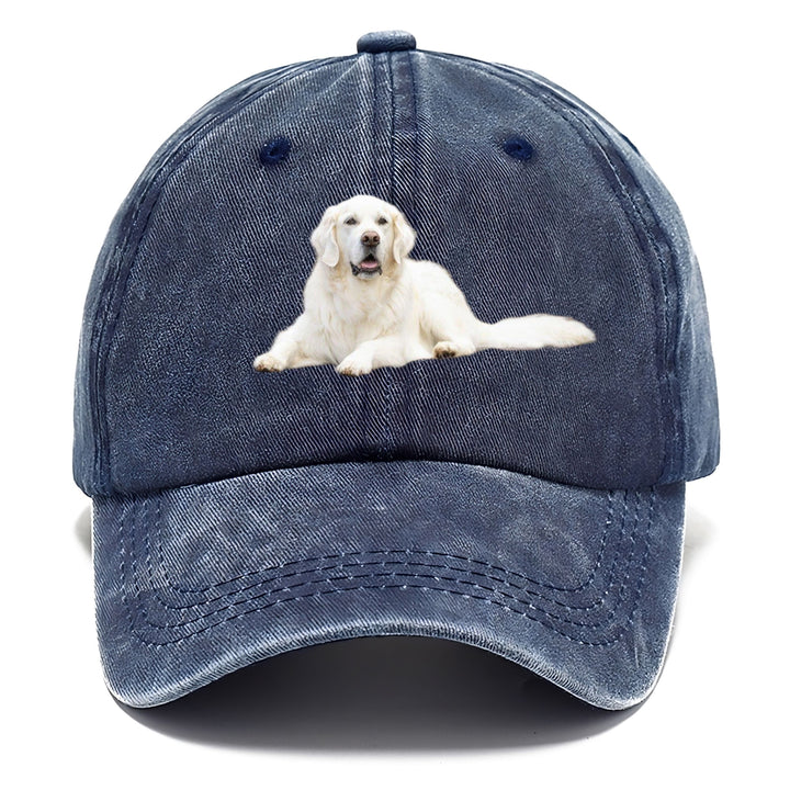White English Cream Golden Retrievers Classic Cap | Twilight Navy(Blue) | Toronty Ottawa