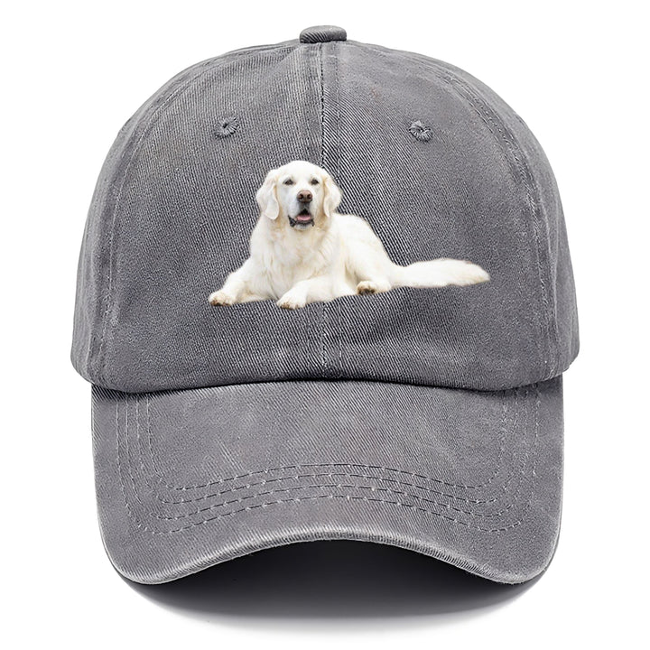 White English Cream Golden Retrievers Classic Cap | Urban Haze(Grey) | Toronty Ottawa