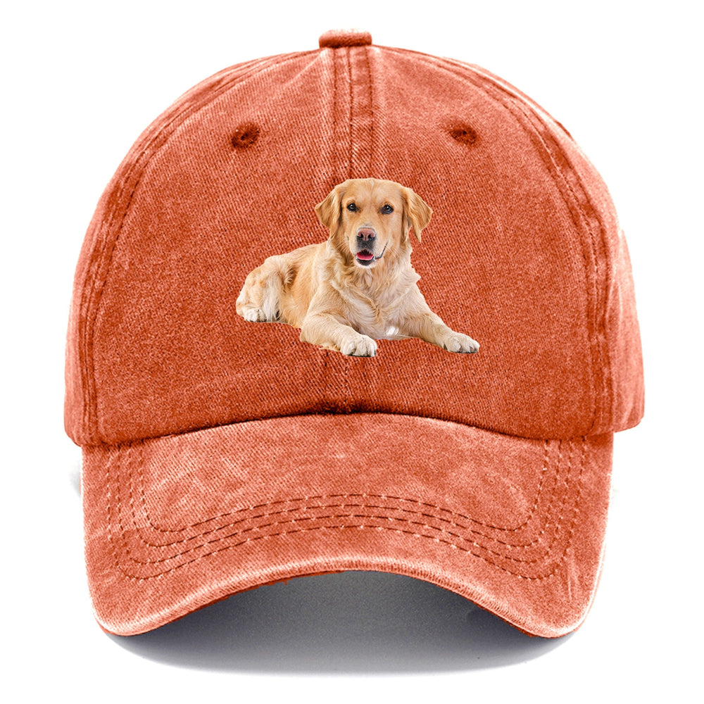 Golden Retriever Laying Down Classic Cap | Terracotta Clay(Orange) | Toronty Ottawa