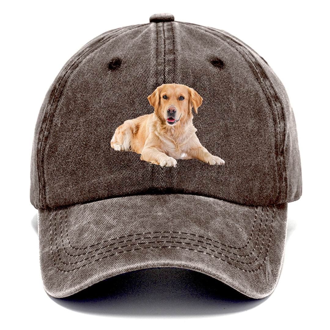 Golden Retriever Laying Down Classic Cap | Brown | Toronty Ottawa