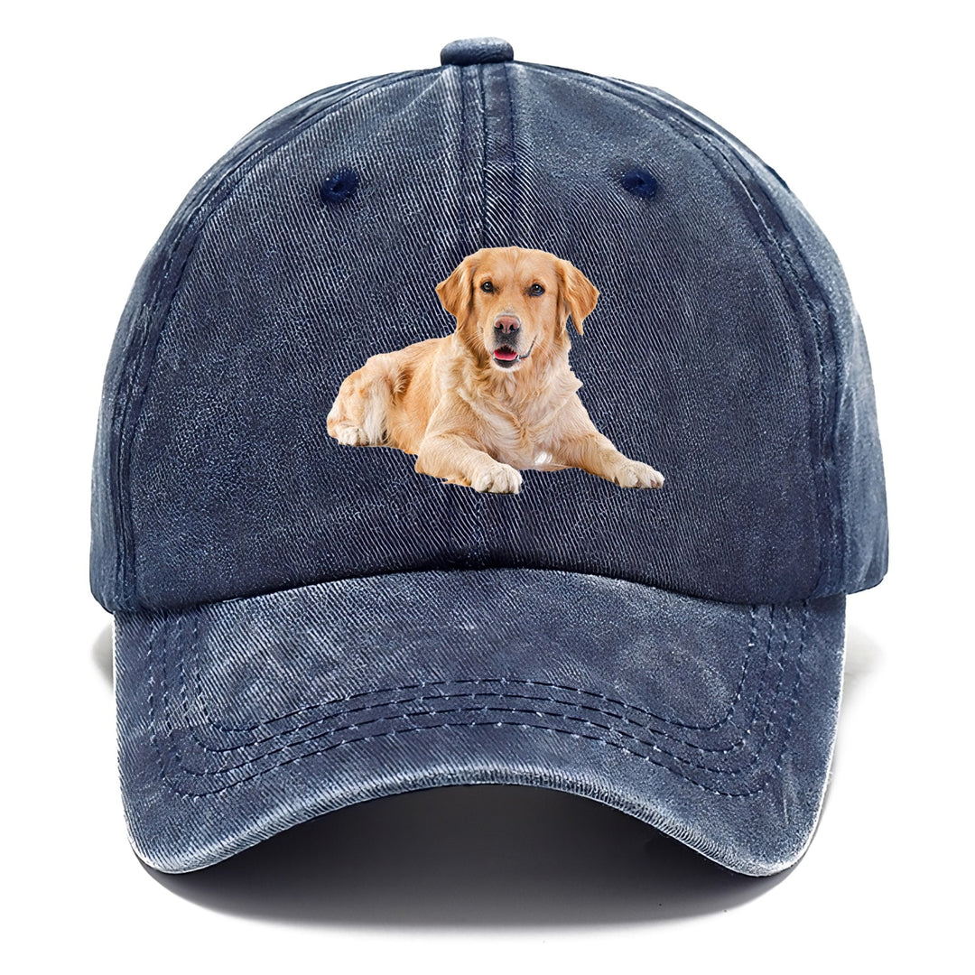 Golden Retriever Laying Down Classic Cap | Twilight Navy(Blue) | Toronty Ottawa