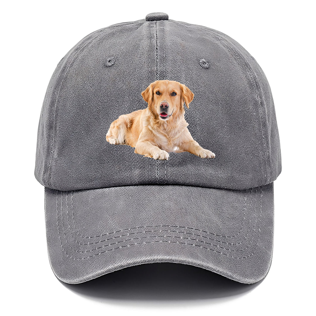 Golden Retriever Laying Down Classic Cap | Urban Haze(Grey) | Toronty Ottawa