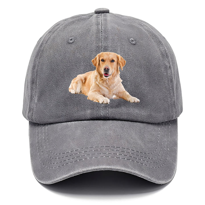 Golden Retriever Laying Down Classic Cap | Urban Haze(Grey) | Toronty Ottawa