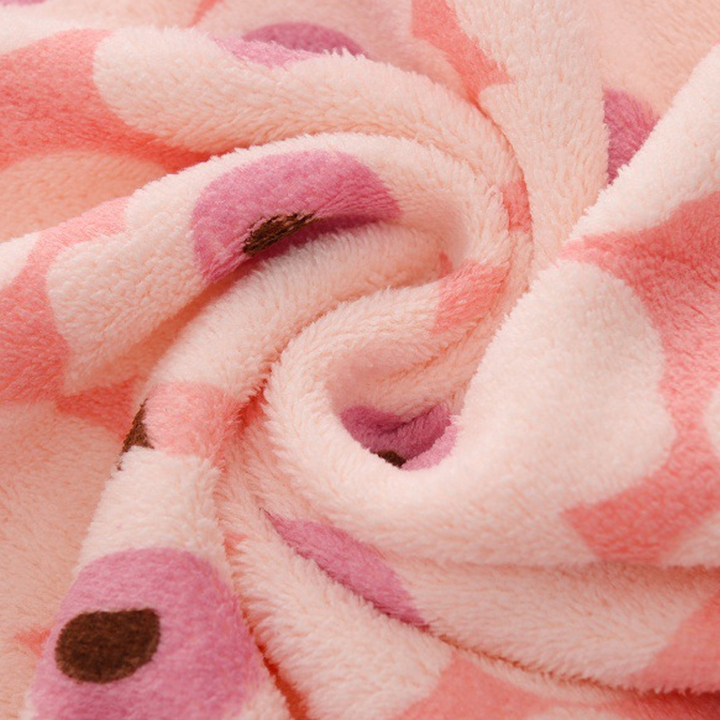 5PCS Coral Flannel Dishcloths for Home Use